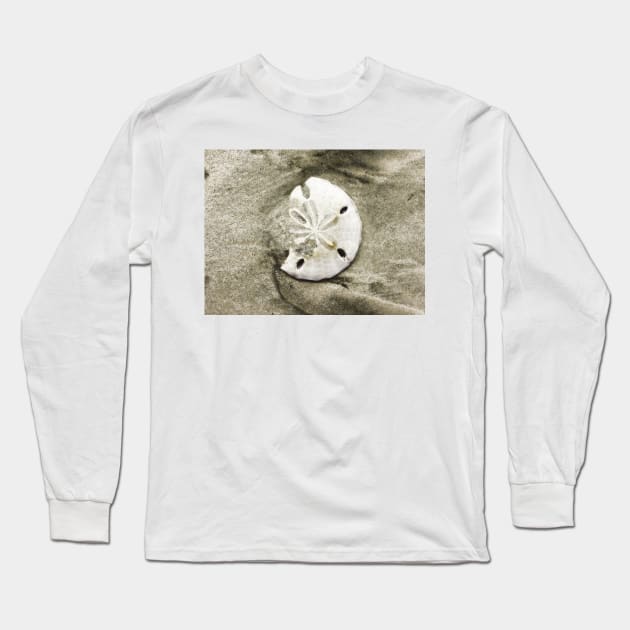 Sand Dollar Shell Long Sleeve T-Shirt by Degroom